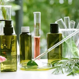 Bật mí 7+ công thức làm đẹp từ thiên nhiên – An toàn, hiệu quả tại nhà